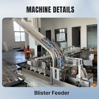 İlaç Gıda İçecek için Otomatik Kartonlama Makinesi 80 Kutu/Dak